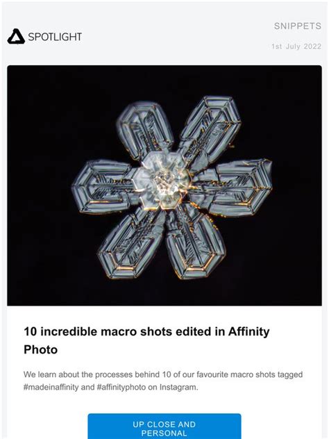 affinity photo macros|10 incredible macro shots edited in Affinity Photo.